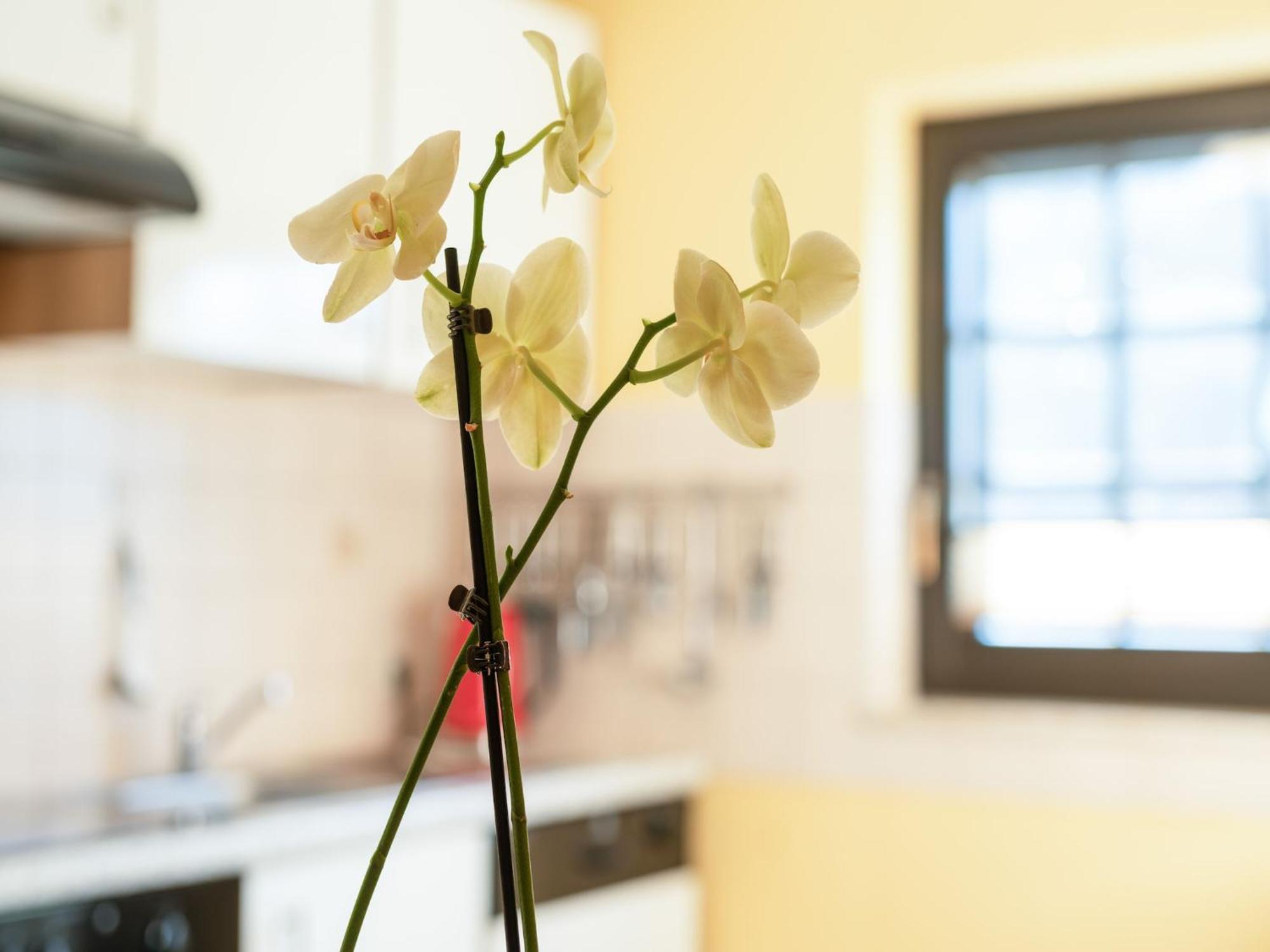 A Modern Apartment In The Hunsr Ck Region S Romantic Drohn Valley Merschbach Exteriér fotografie